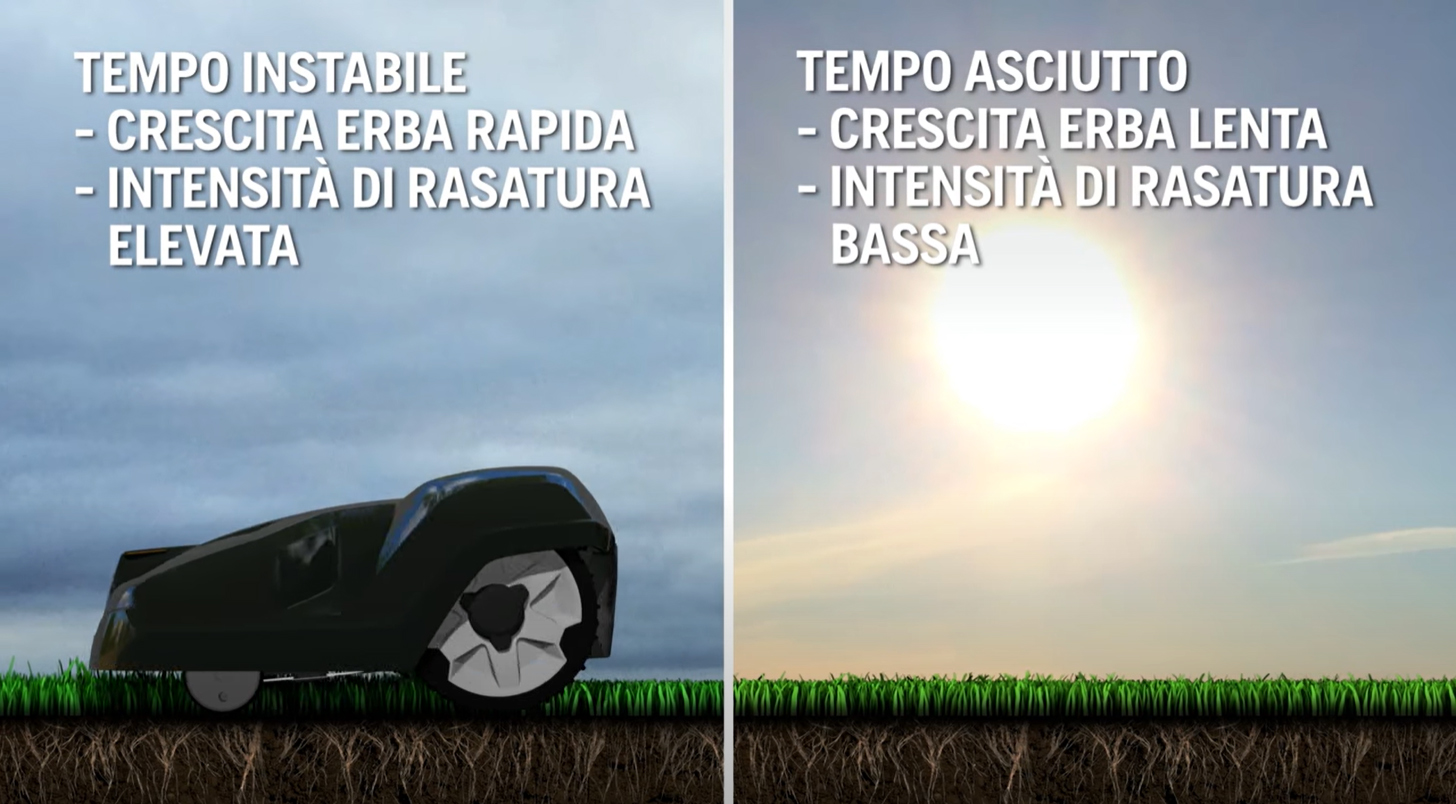 Timer stagionale