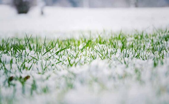 concimazione invernale