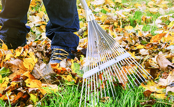 Foglie d'autunno